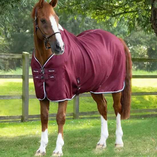 Premier Equine Buster Waffle Horse Cooler Rug by Premier Equine at  Try a Bit