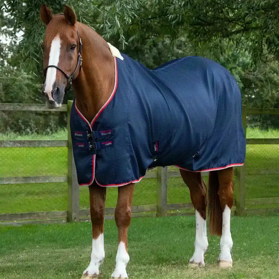 Premier Equine Buster Waffle Horse Cooler Rug by Premier Equine at  Try a Bit