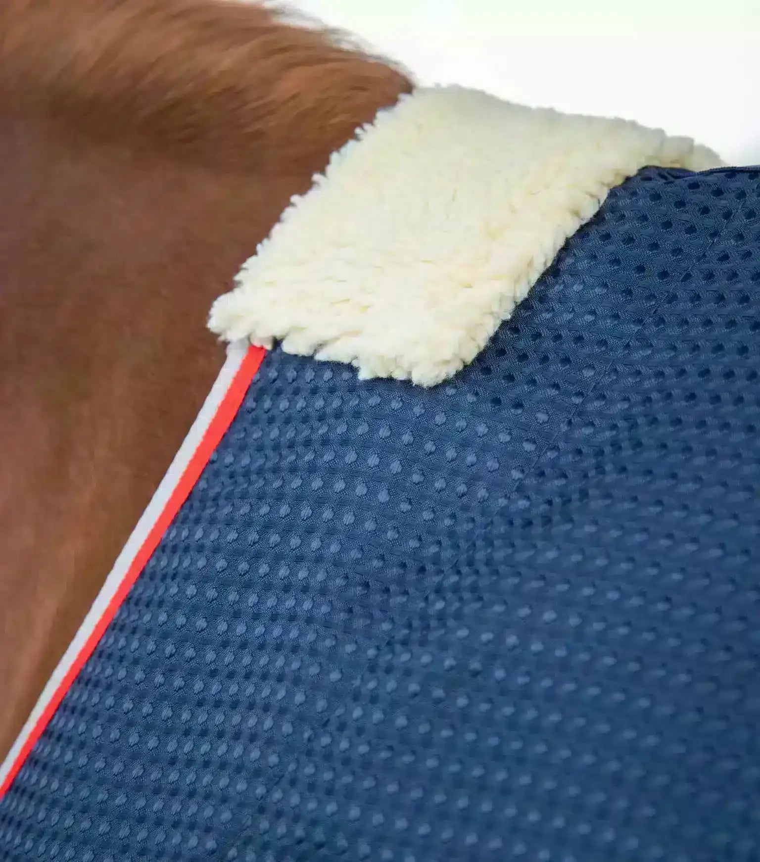 Premier Equine Buster Waffle Horse Cooler Rug by Premier Equine at  Try a Bit