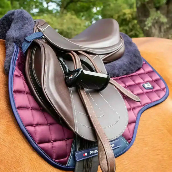 Premier Equine Capella Close Contact Merino Wool GP/Jump Square by Premier Equine at  Try a Bit