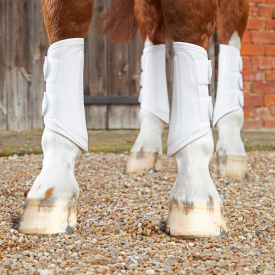 Premier Equine Carbon Air-Tech Double Locking Brushing Boots by Premier Equine at  Try a Bit