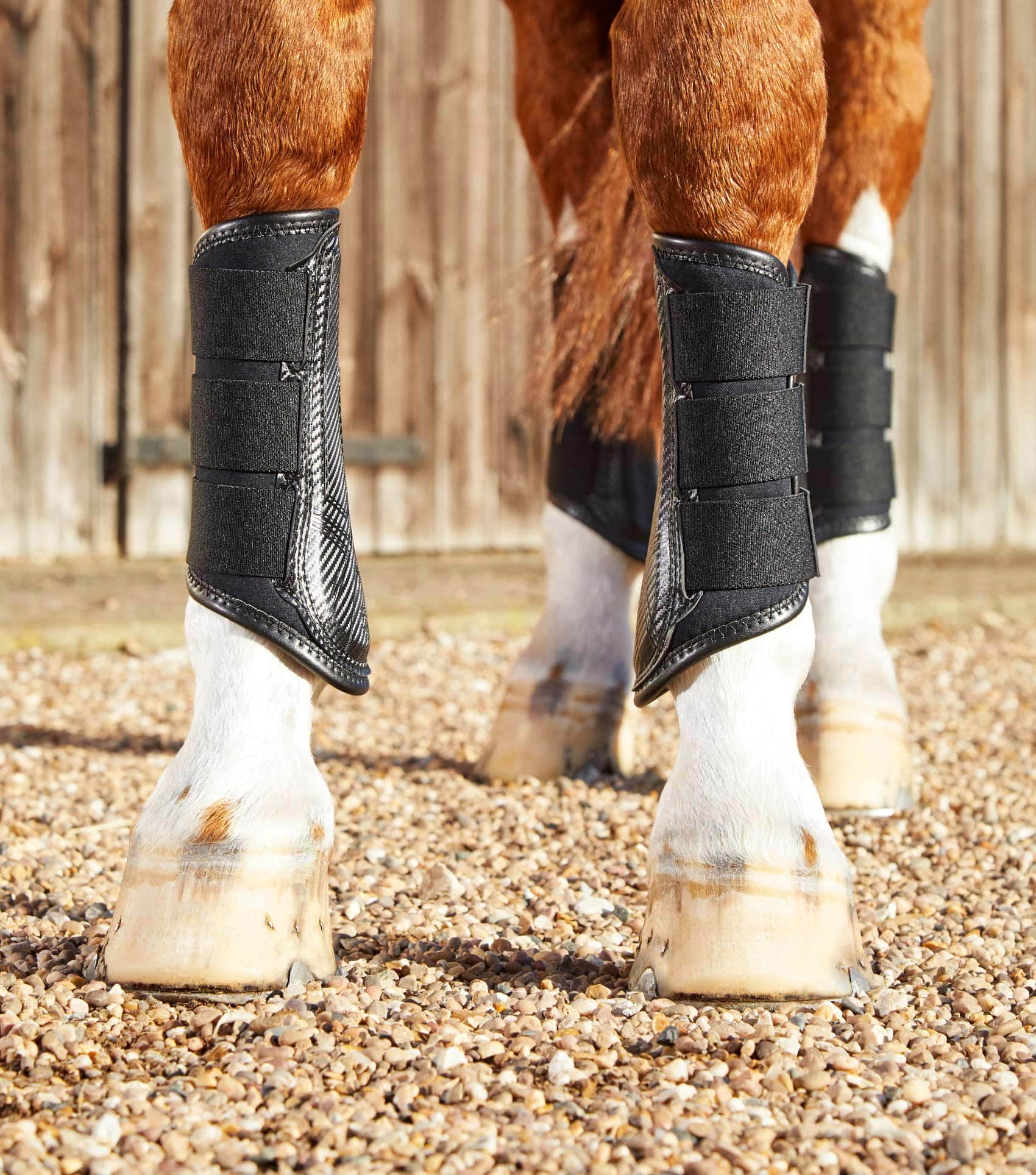 Premier Equine Carbon Air-Tech Single Locking Brushing Boots by Premier Equine at  Try a Bit