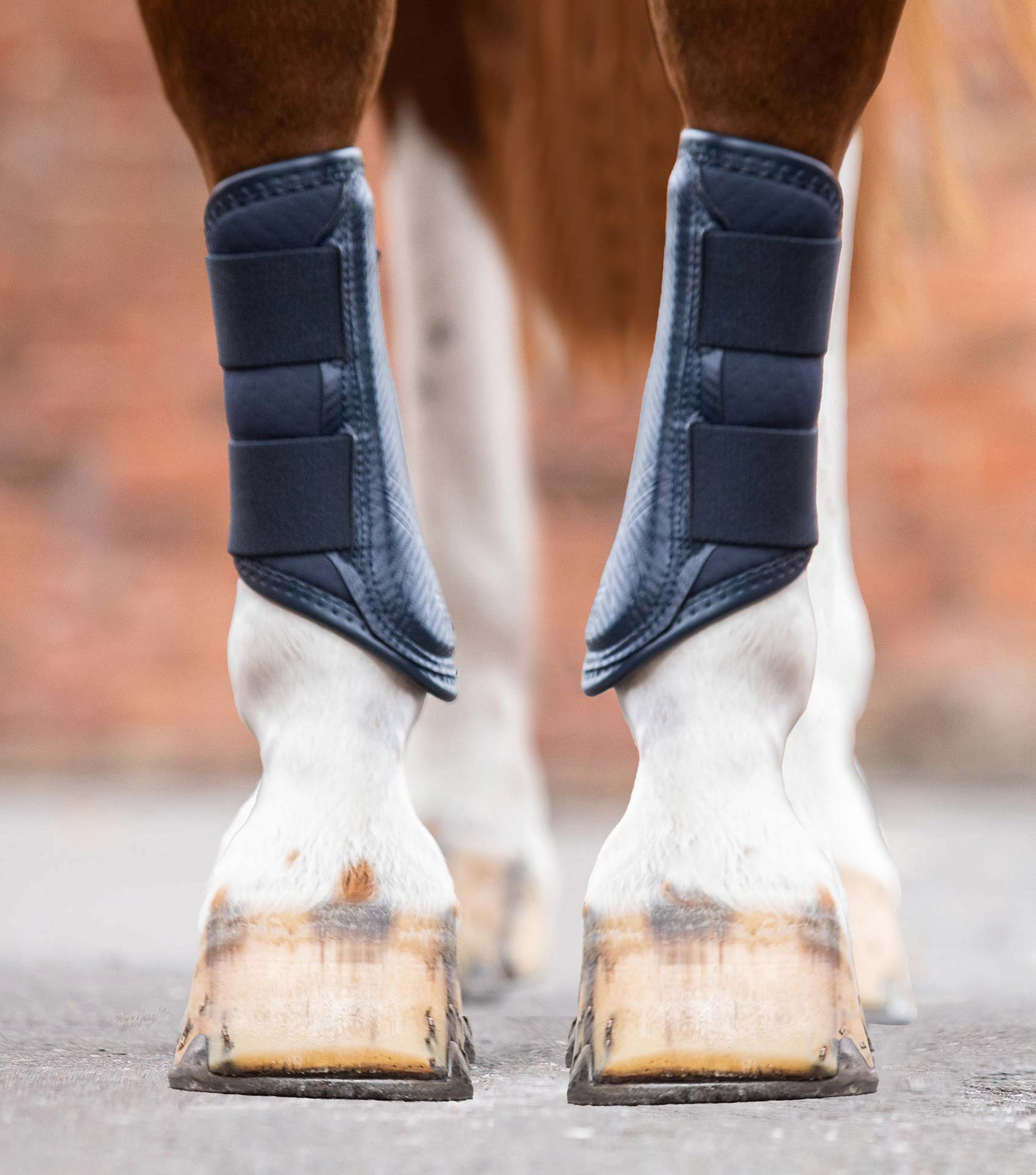 Premier Equine Carbon Air-Tech Single Locking Brushing Boots by Premier Equine at  Try a Bit