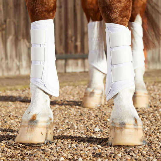 Premier Equine Carbon Air-Tech Single Locking Brushing Boots by Premier Equine at  Try a Bit