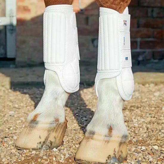 Premier Equine Carbon Tech Air Flex Eventing Boots by Premier Equine at  Try a Bit