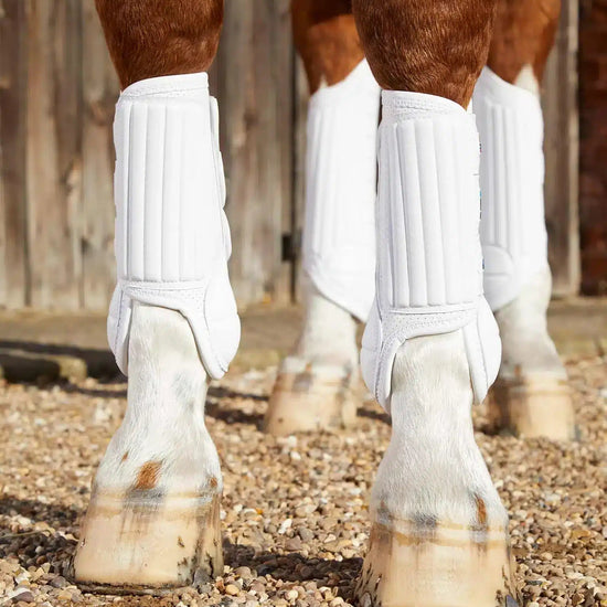 Premier Equine Carbon Tech Air Flex Eventing Boots by Premier Equine at  Try a Bit