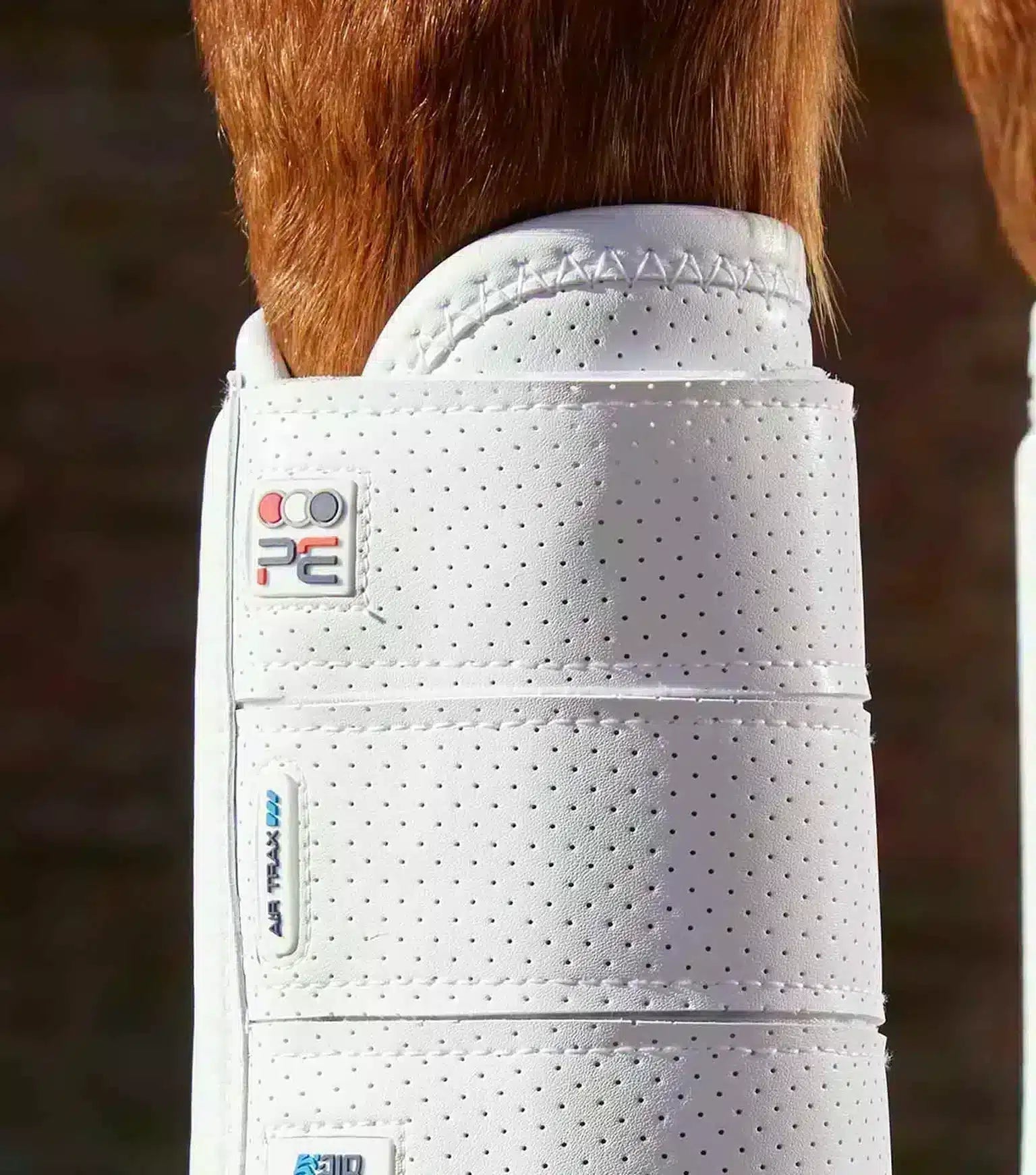 Premier Equine Carbon Tech Air Flex Eventing Boots by Premier Equine at  Try a Bit