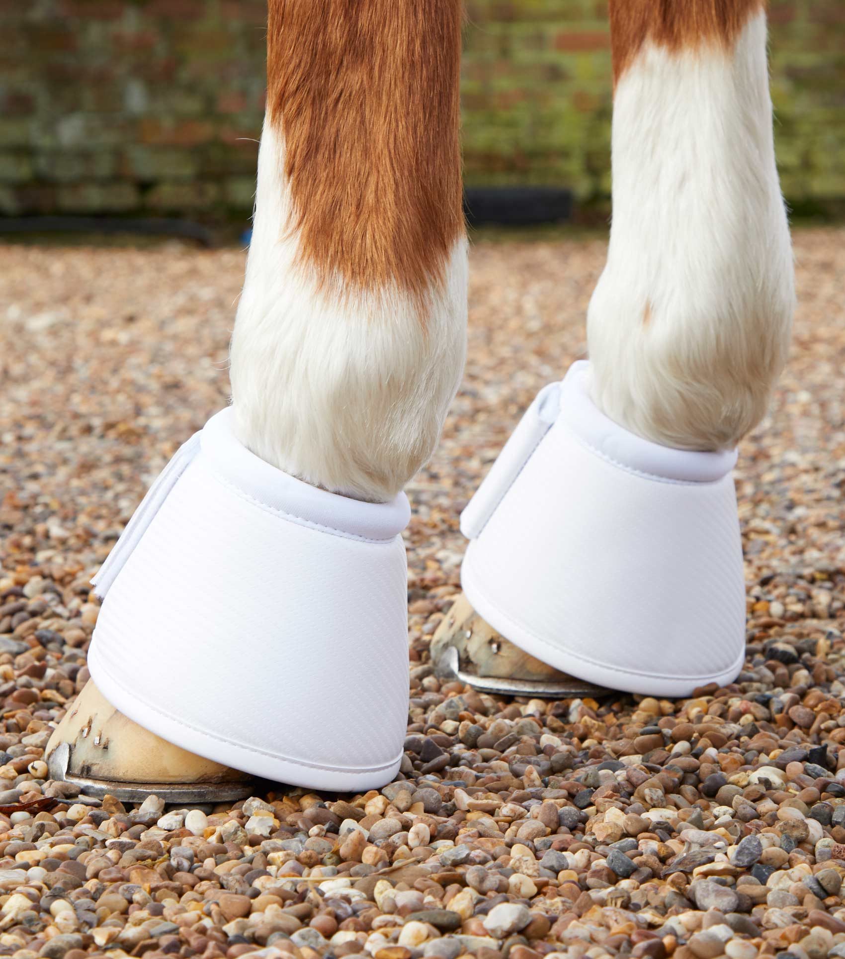 Premier Equine Carbon Wrap Over Reach Boots by Premier Equine at  Try a Bit