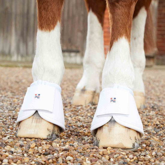 Premier Equine Carbon Wrap Over Reach Boots by Premier Equine at  Try a Bit