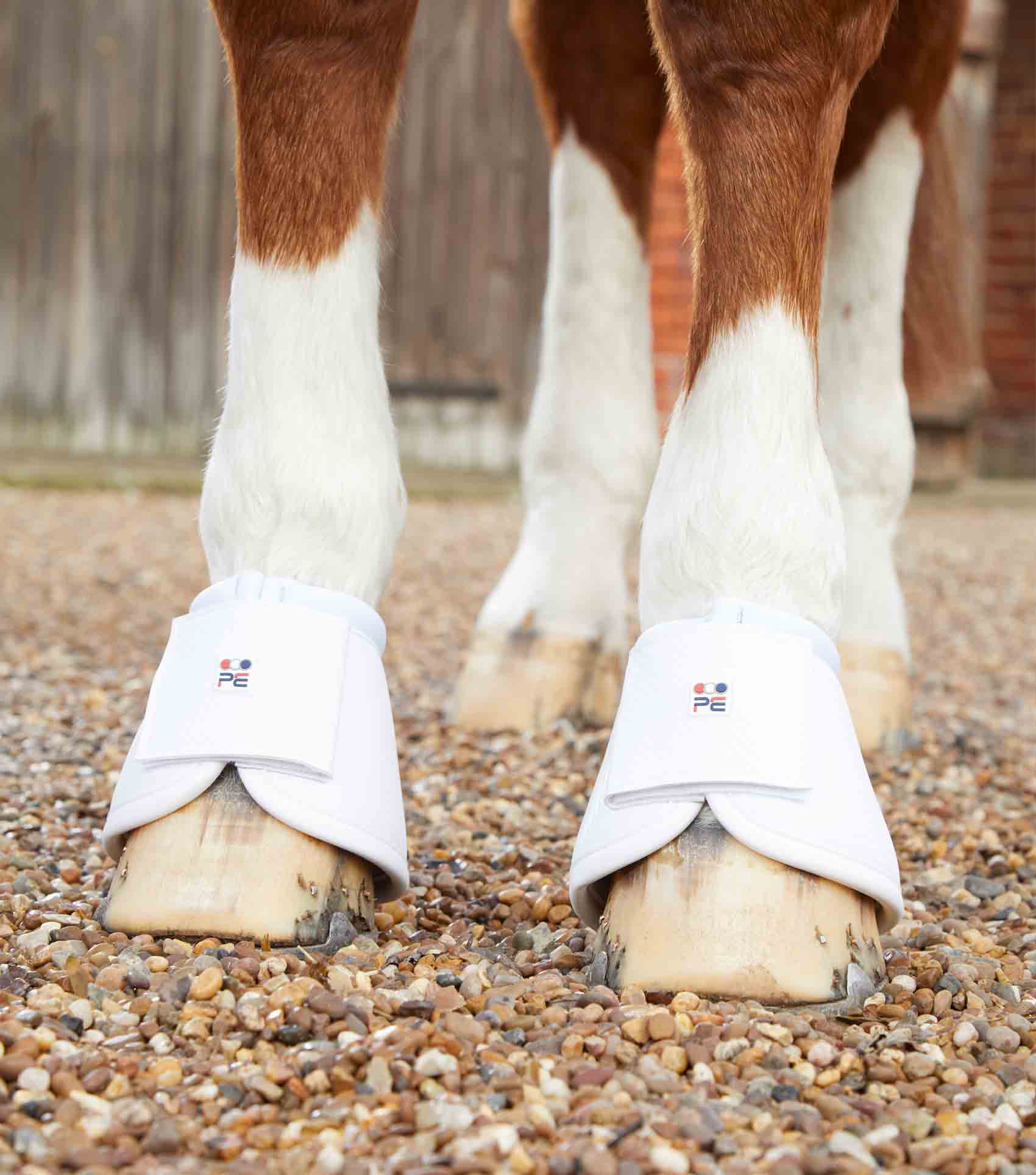 Premier Equine Carbon Wrap Over Reach Boots by Premier Equine at  Try a Bit