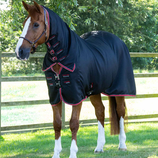 Premier Equine Combo Buster Waffle Horse Cooler Rug by Premier Equine at  Try a Bit