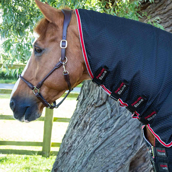 Premier Equine Combo Buster Waffle Horse Cooler Rug by Premier Equine at  Try a Bit