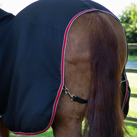 Premier Equine Combo Buster Waffle Horse Cooler Rug by Premier Equine at  Try a Bit