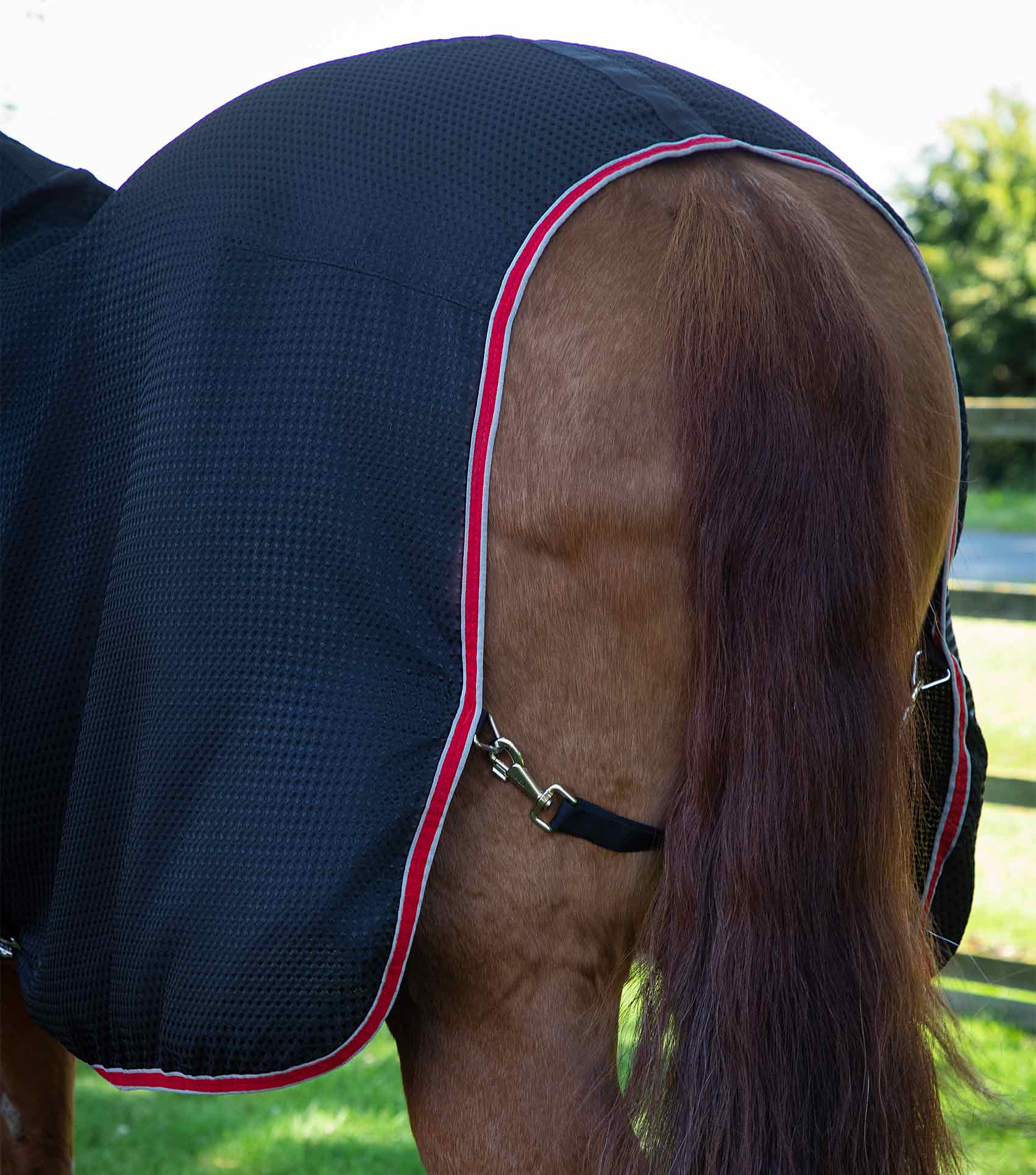Premier Equine Combo Buster Waffle Horse Cooler Rug by Premier Equine at  Try a Bit