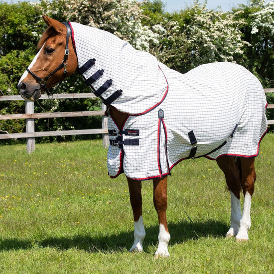 Premier Equine Combo Cotton Sheet by Premier Equine at  Try a Bit