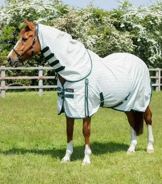 Premier Equine Combo Cotton Sheet by Premier Equine at  Try a Bit