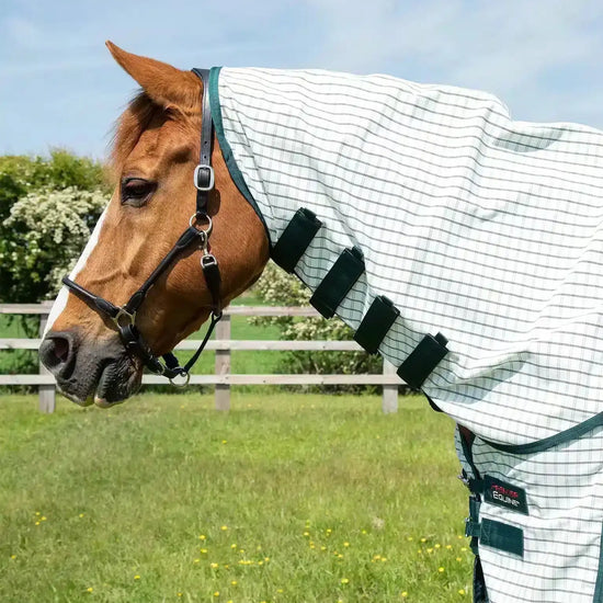 Premier Equine Combo Cotton Sheet by Premier Equine at  Try a Bit