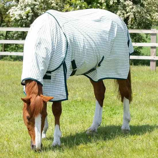 Premier Equine Combo Cotton Sheet by Premier Equine at  Try a Bit