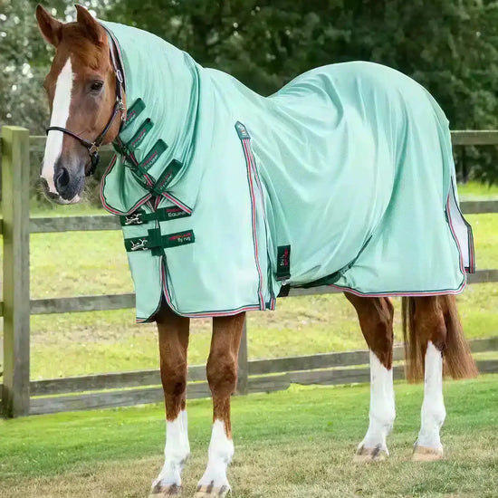 Premier Equine Combo Mesh Air Fly Rug with Surcingles by Premier Equine at  Try a Bit