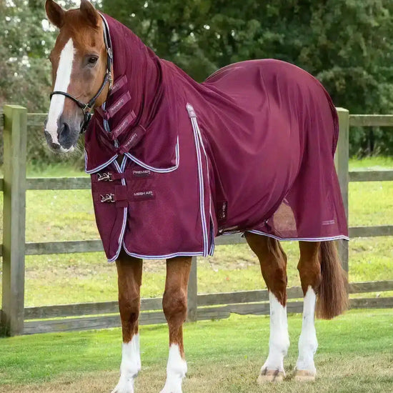Premier Equine Combo Mesh Air Fly Rug with Surcingles by Premier Equine at  Try a Bit
