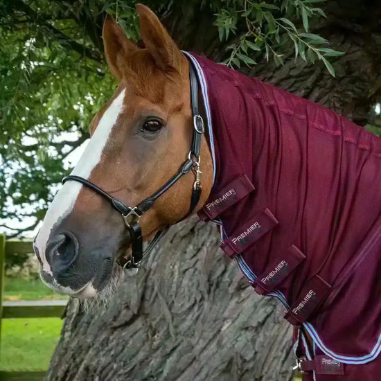 Premier Equine Combo Mesh Air Fly Rug with Surcingles by Premier Equine at  Try a Bit