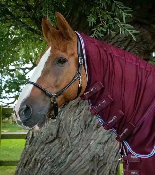 Premier Equine Combo Mesh Air Fly Rug with Surcingles by Premier Equine at  Try a Bit