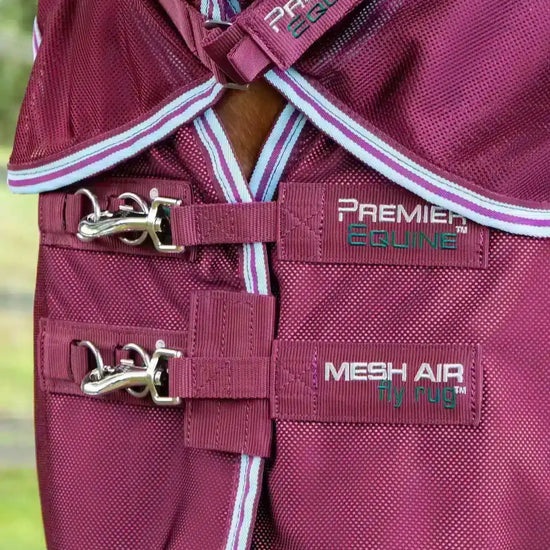 Premier Equine Combo Mesh Air Fly Rug with Surcingles by Premier Equine at  Try a Bit