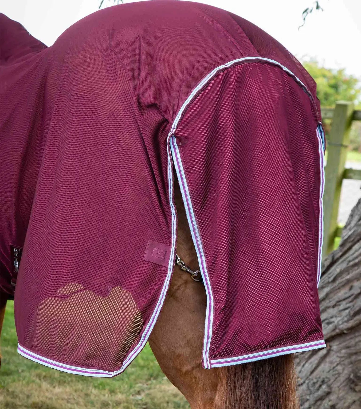 Premier Equine Combo Mesh Air Fly Rug with Surcingles by Premier Equine at  Try a Bit