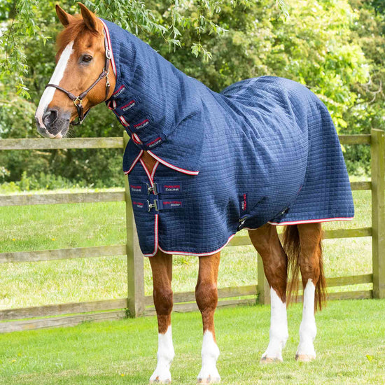 Premier Equine Combo Dry-Tech Horse Cooler Rug by Premier Equine at  Try a Bit