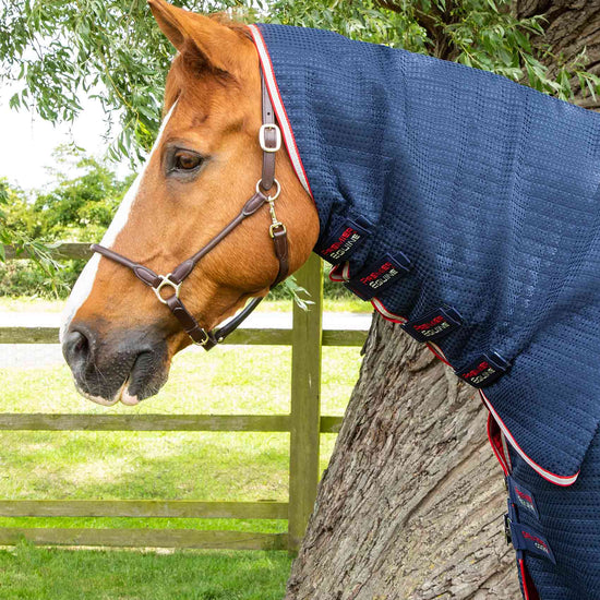 Premier Equine Combo Dry-Tech Horse Cooler Rug by Premier Equine at  Try a Bit
