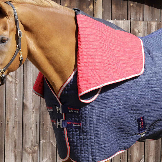 Premier Equine Combo Dry-Tech Horse Cooler Rug by Premier Equine at  Try a Bit