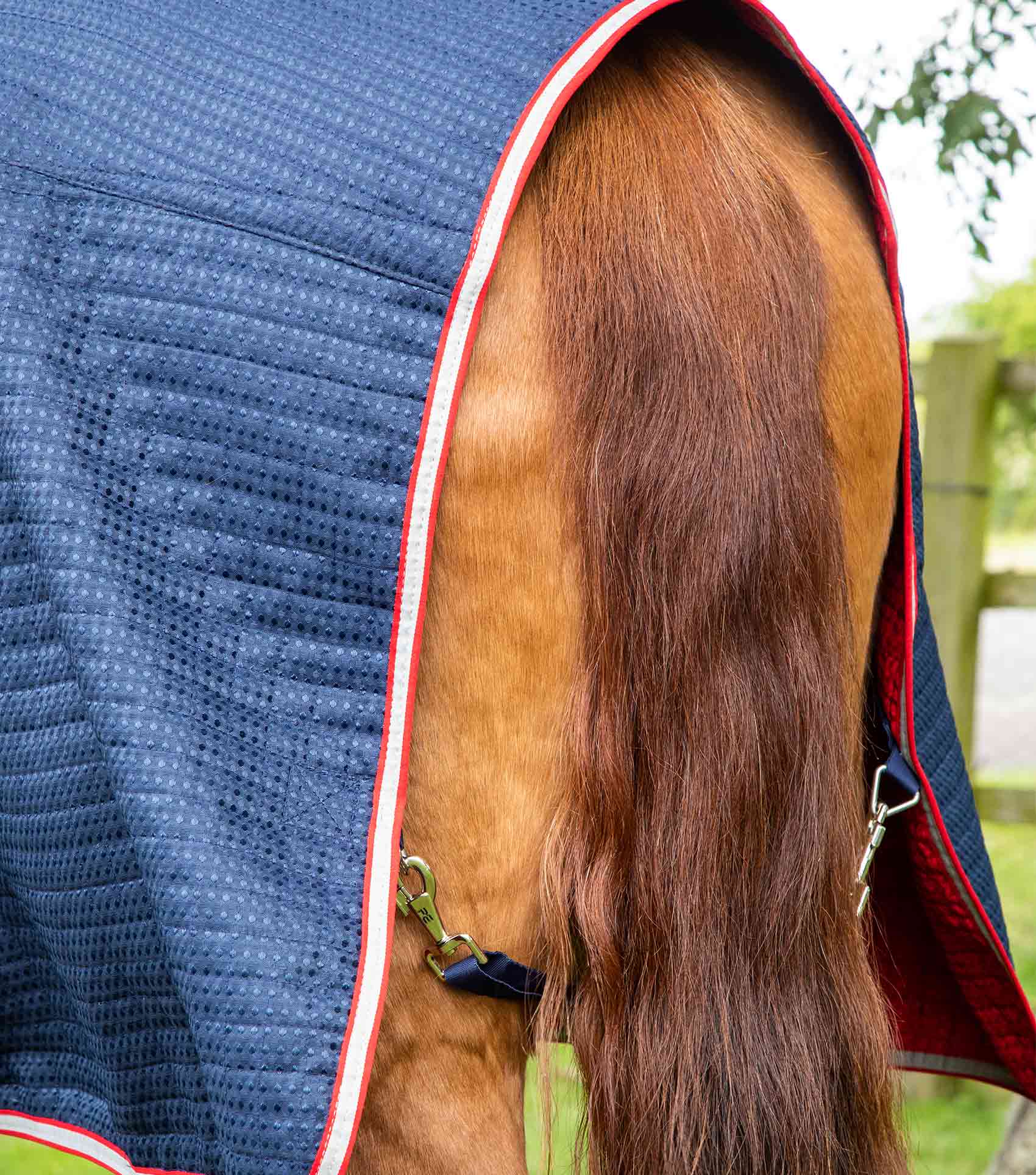Premier Equine Combo Dry-Tech Horse Cooler Rug by Premier Equine at  Try a Bit