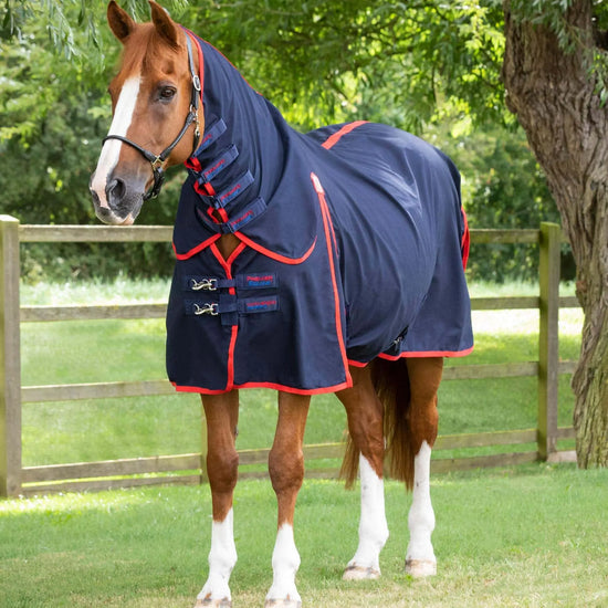 Premier Equine Combo Horse Stable Sheet by Premier Equine at  Try a Bit