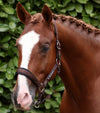 Corda Padded Head Collar with Lead Rope Brown by Premier Equine Int. at  Try A Bit