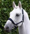 Premier Equine Corda Padded Head Collar with Lead Rope by Premier Equine at  Try A Bit
