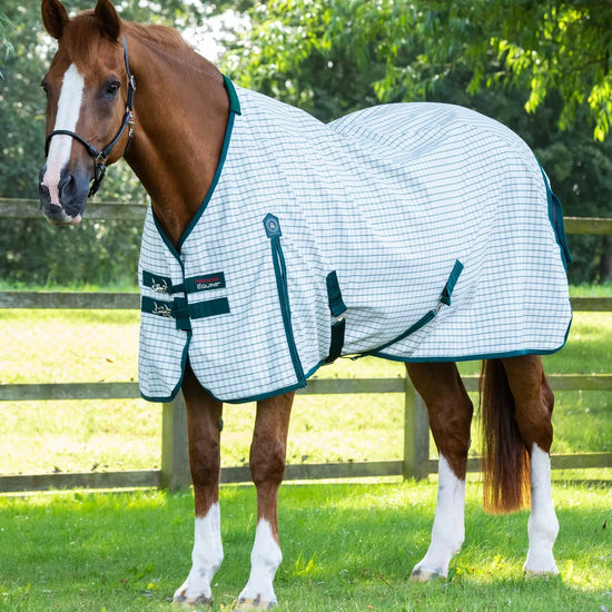 Premier Equine Cotton Sheet by Premier Equine at  Try a Bit
