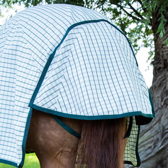 Premier Equine Cotton Sheet by Premier Equine at  Try a Bit