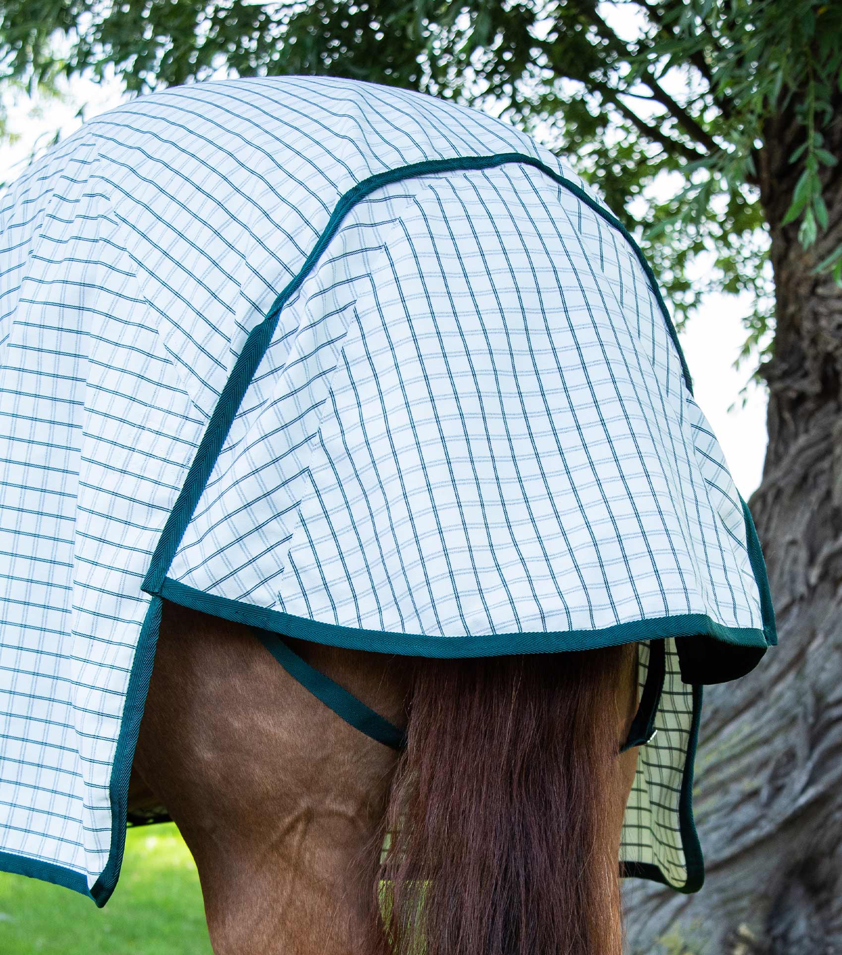 Premier Equine Cotton Sheet by Premier Equine at  Try a Bit