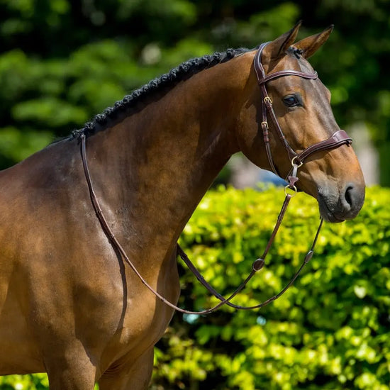 Trust Equestrian Falsterbo T-motion Bridle by Trust Equestrian at  Try a Bit