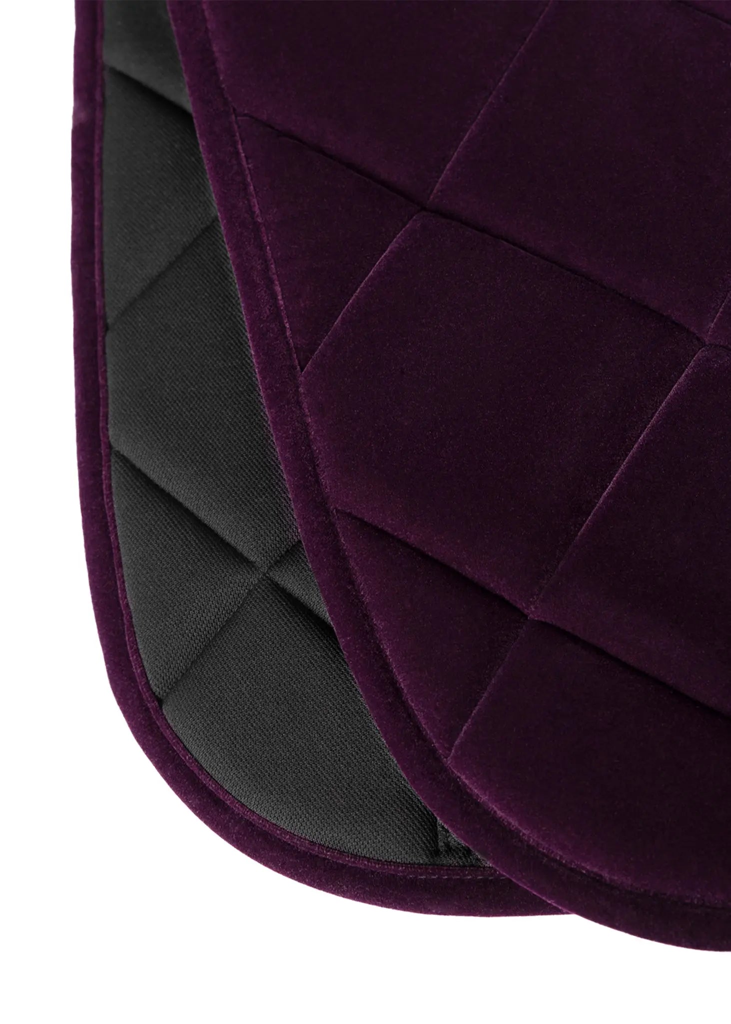 Velvet Jumping Saddle Pad (Amethyst) by Maximilian Equestrian at  Try A Bit