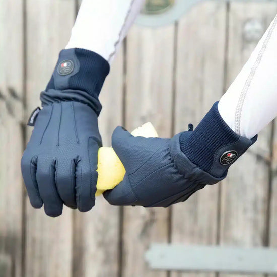 Premier Equine Dajour Waterproof Riding Gloves by Premier Equine at  Try a Bit