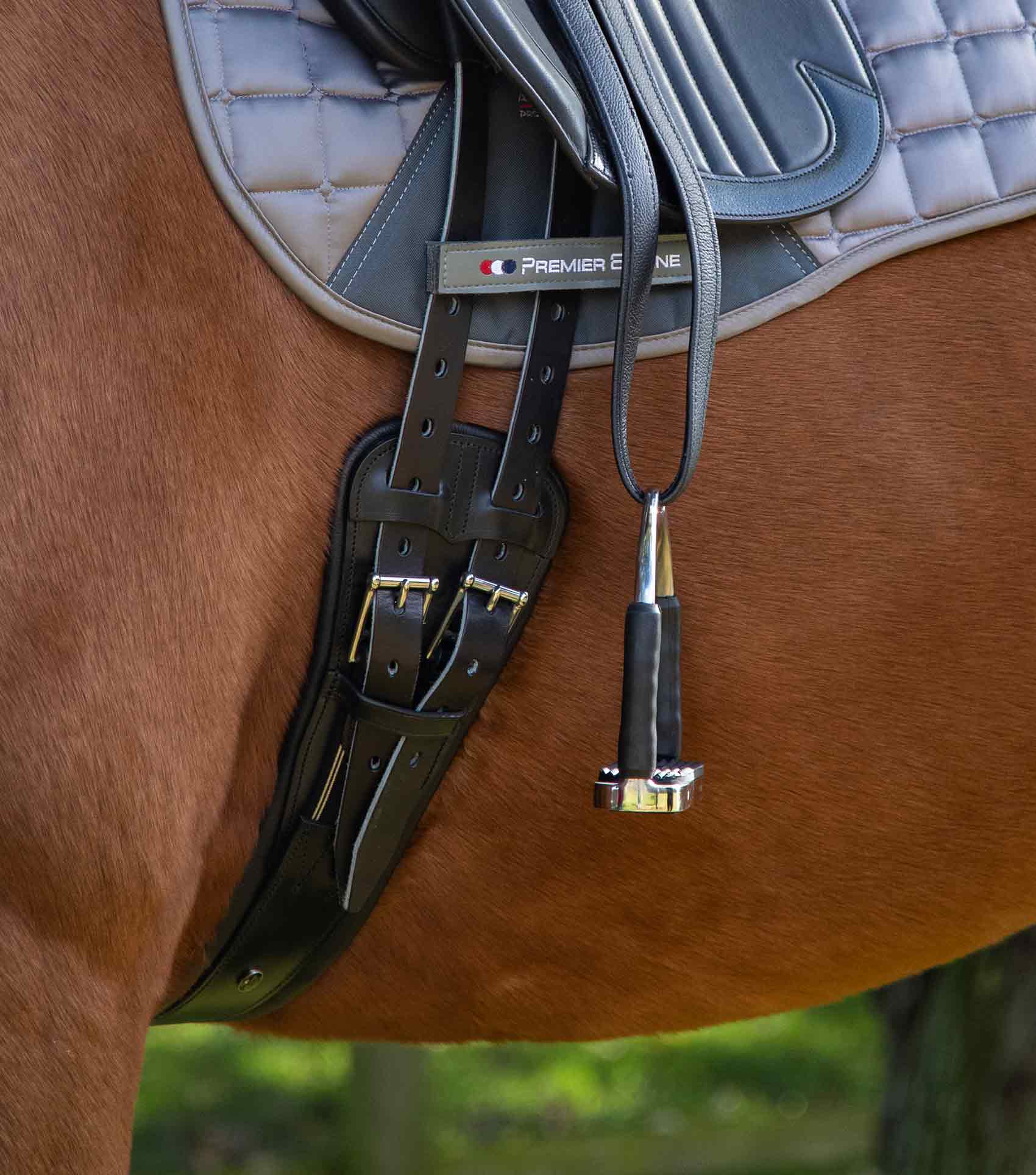Premier Equine Davoli Leather Girth by Premier Equine at  Try a Bit