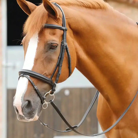 Premier Equine Delizioso Snaffle Bridle by Premier Equine at  Try a Bit
