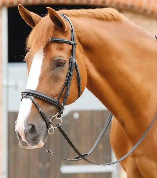 Premier Equine Delizioso Snaffle Bridle by Premier Equine at  Try a Bit