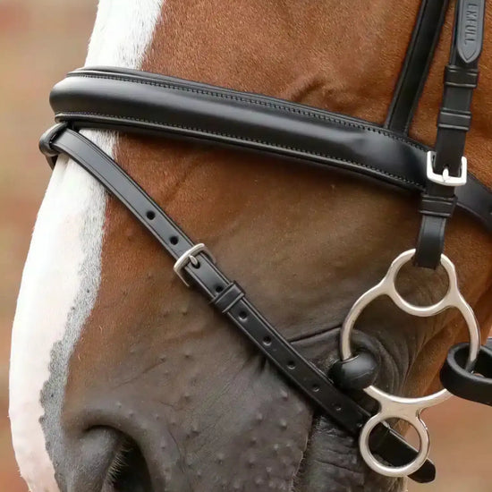 Premier Equine Delizioso Snaffle Bridle by Premier Equine at  Try a Bit