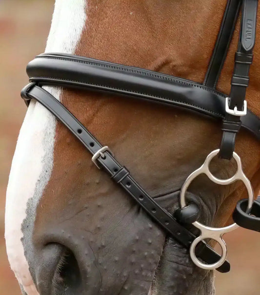 Premier Equine Delizioso Snaffle Bridle by Premier Equine at  Try a Bit