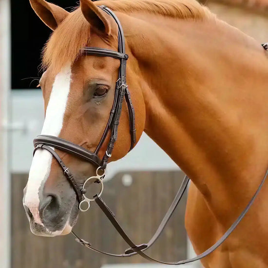 Premier Equine Delizioso Snaffle Bridle by Premier Equine at  Try a Bit