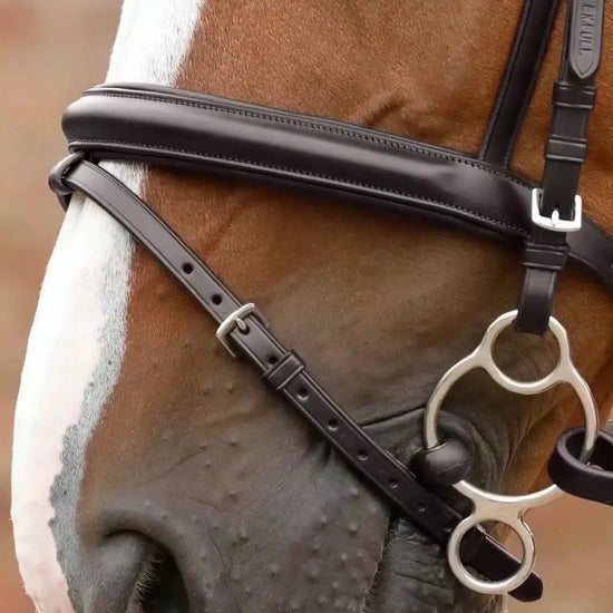 Premier Equine Delizioso Snaffle Bridle by Premier Equine at  Try a Bit