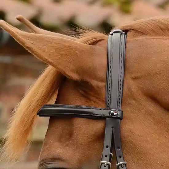 Premier Equine Delizioso Snaffle Bridle by Premier Equine at  Try a Bit