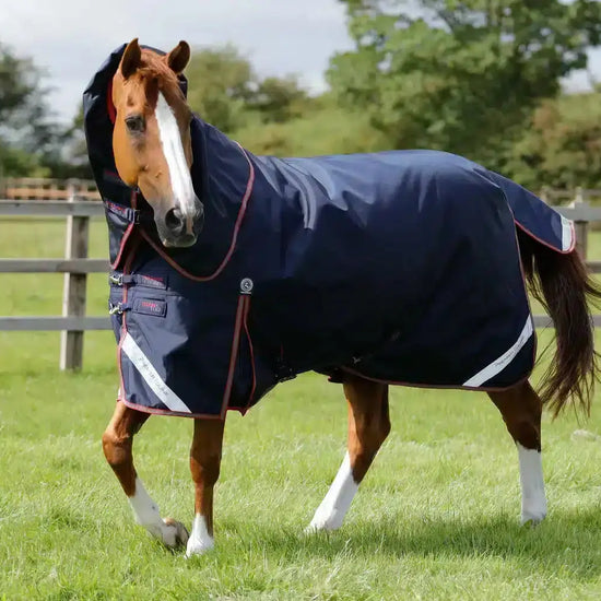 Premier Equine Titan 100g Turnout Rug with Snug-Fit Neck Cover by Premier Equine at  Try a Bit